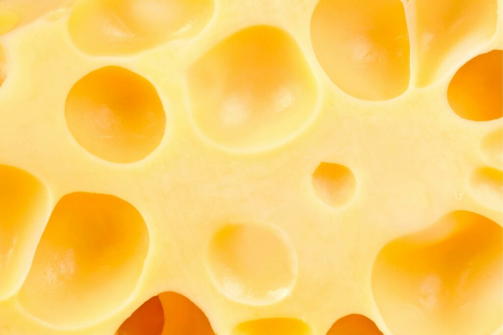 Käse Nahaufnahme - Käse für Hunde 