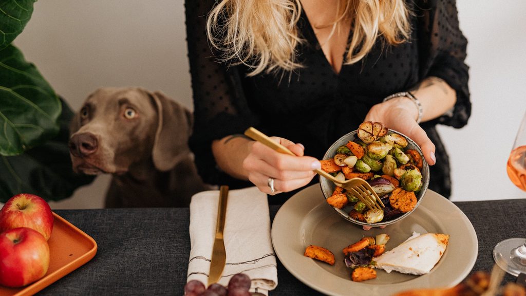 Hund will Essen vom Tisch