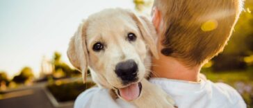 männlichen Hundenamen für Rüden