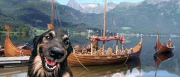 nordische hundenamen