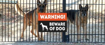 familienfreundliche Wachhunde Cover