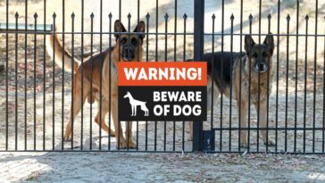 familienfreundliche Wachhunde Cover