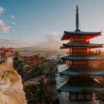 japanische katzennamen cover