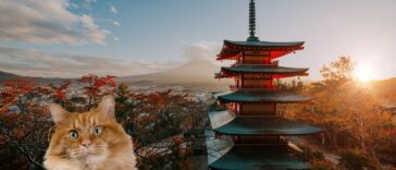 japanische katzennamen cover