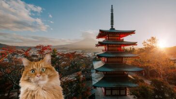 japanische katzennamen cover