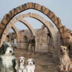 alte hunderassen cover