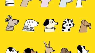 Schweinschawangerschaft