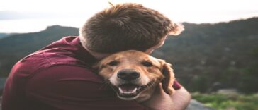 Blindenhund