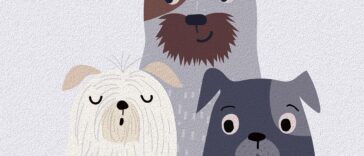 Hundeversicherung
