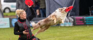 Hundesportarten