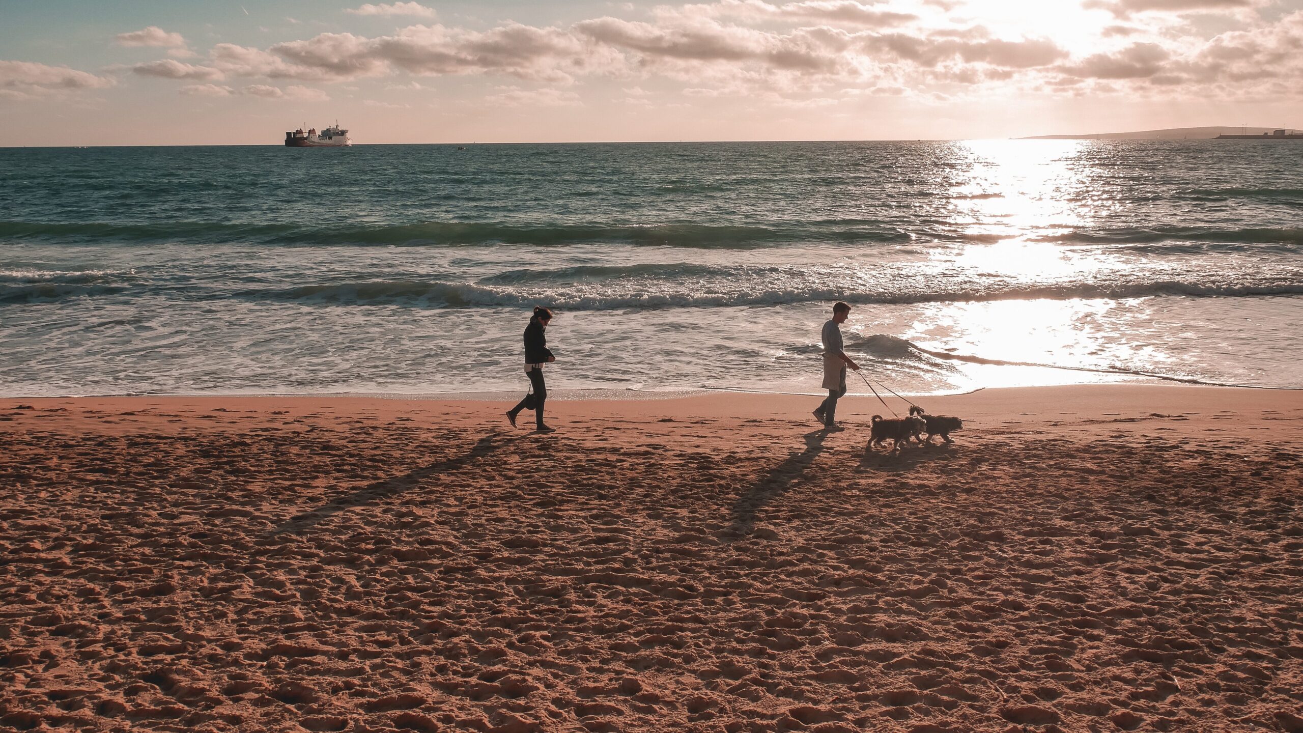 Urlaub mit Hund 